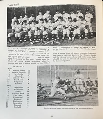 Michael Fratello Baseball Photo